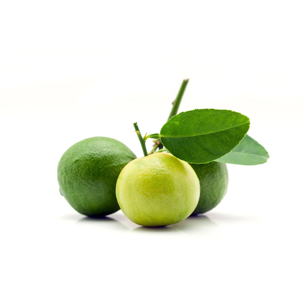 Pati Lemon