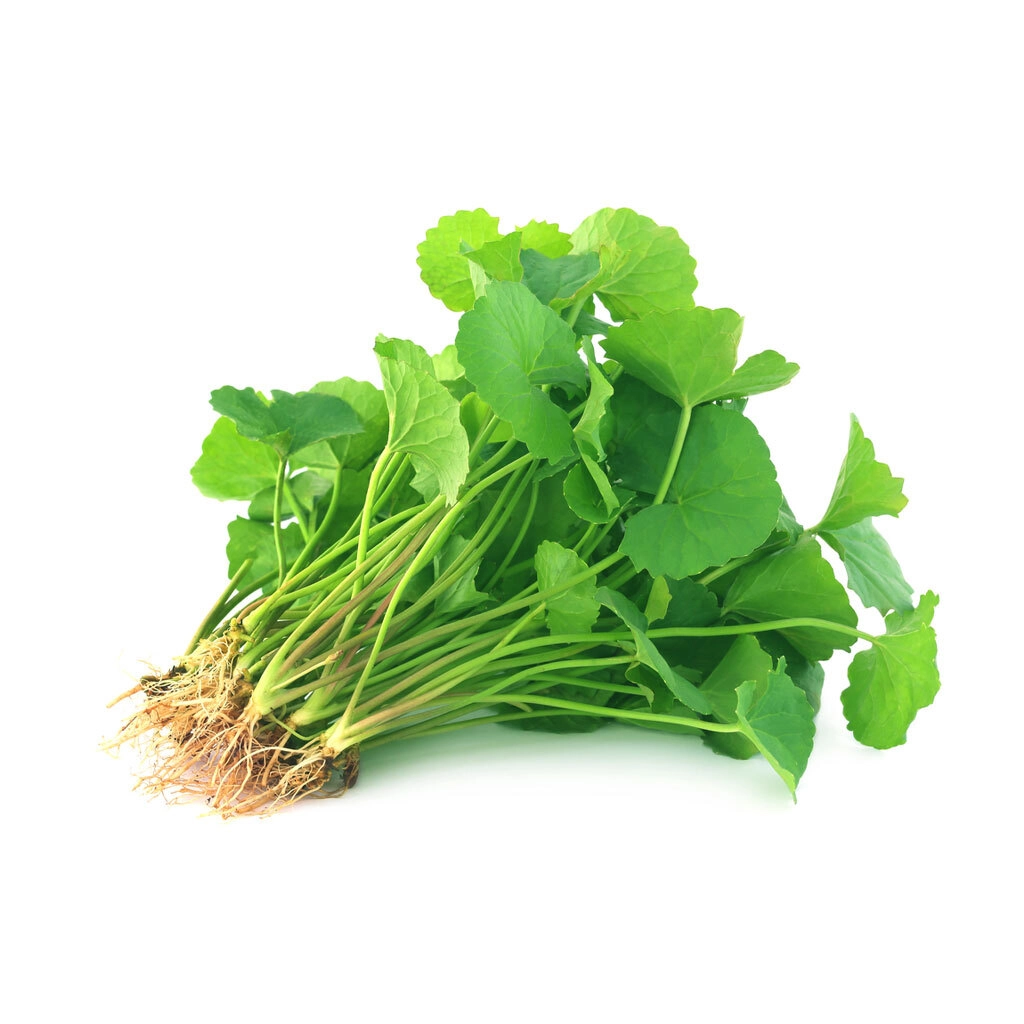 Thankuni Leaf