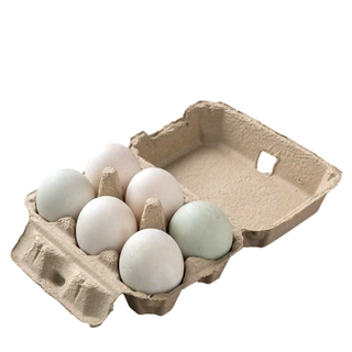 Duck Egg