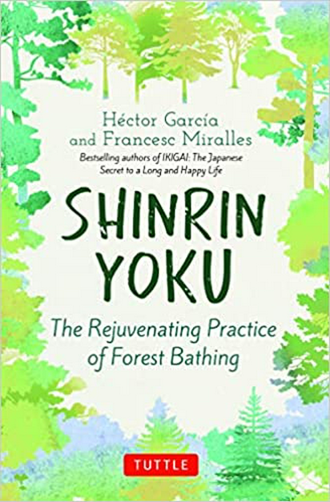 Shinrin Yoku: The Rejuvenating Practice Of Forest Bathing