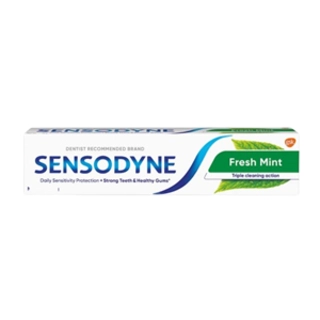 Fresh Mint 80Gm