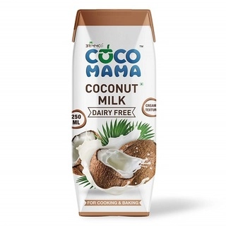 Organic Coconut Milk (18%) 250Ml