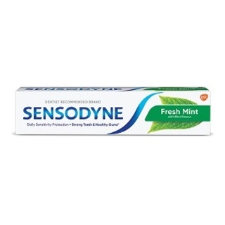 Fresh Mint 40Gm