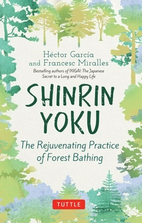 Shinrin Yoku: The Rejuvenating Practice Of Forest Bathing