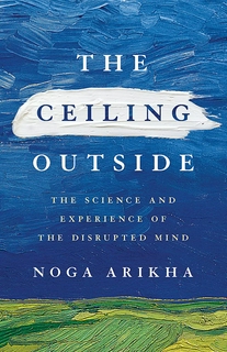 THE CEILING OUTSIDE: THE SCIENCE AND EXPERIENCE OF THE DISRUPTED MIND