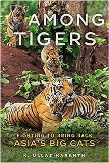 Among Tigers: Fighting to Bring Back Asia's Big Cats 