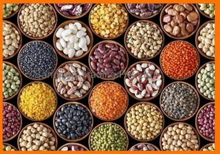 DALS & PULSES / ಬೇಳೆ-ಕಾಳುಗಳು / പയർവർഗ്ഗങ്ങൾ