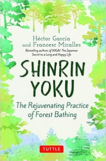 Shinrin Yoku: The Rejuvenating Practice Of Forest Bathing