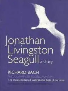 Jonathan Livingston Seagull: A Story (used, good condition)