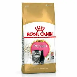 Royal Canin Cat Food Kitten