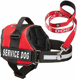 Service Dog Harness No Pull Harness No Choke Dog Standard Harness (XL)