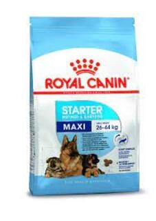 Starter Maxi 1kg
