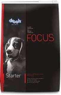 DROOLS (FOCUS STARTER  ) 1.2 KG