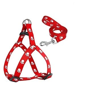 Nylon Adjustable Leash with Harness Set Printed Nylon Puppy Harness for Small & Medium Dogs Colour May Vary (0.5 INCH)