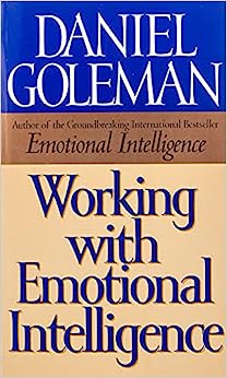Working With Emotional Intelligence (used, good condition)