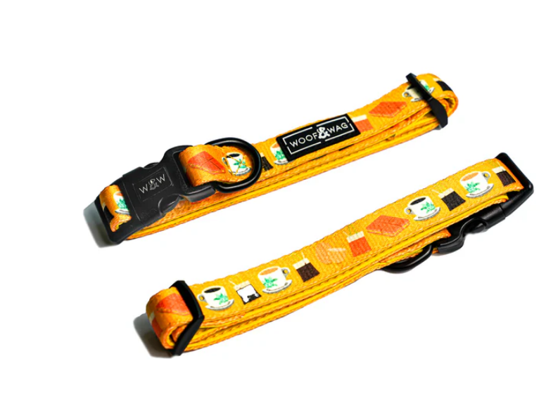 Martingale Gentle Training Dog Collar (Medium)