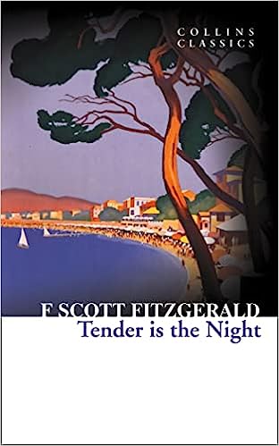 Tender is the Night (used, good condition)