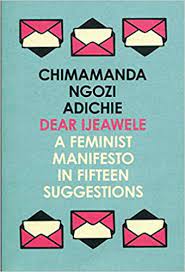 Dear Ijeawele ( Used, Good condition)