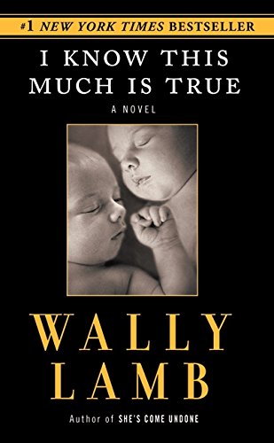 I Know This Much Is True (Used, good condition)