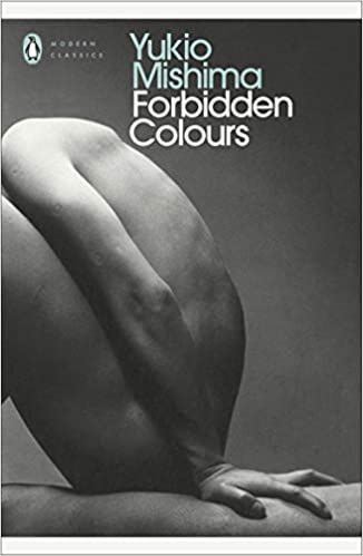 Forbidden Colours (Penguin Modern Classics) Paperback – Import, Jan. 1 1612