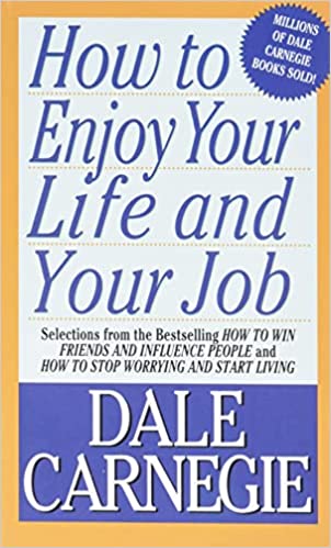 How To Enjoy Your Life And Your Job (used, good condition)