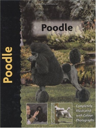 Poodle (used, good condition)