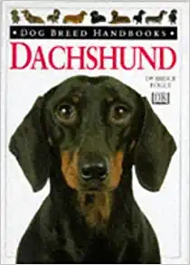 Dachshund (Used, good condition)