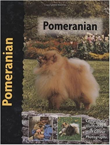Pomeranian (used, good condition)