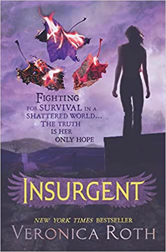 Insurgent (Used, good condition)