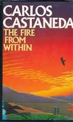 The Fire from Within (Used, Good condition, Hardcover)