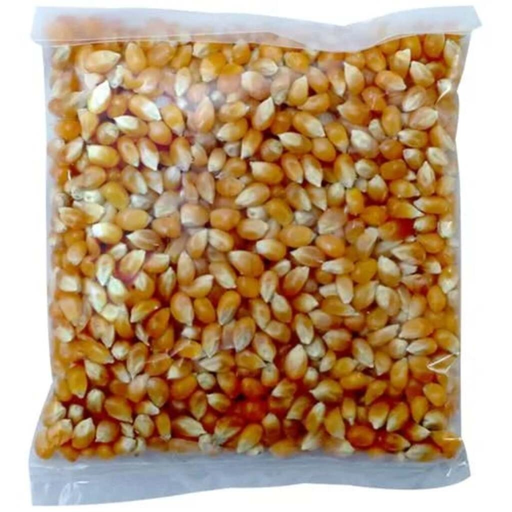 CORN SEEDS 200GM