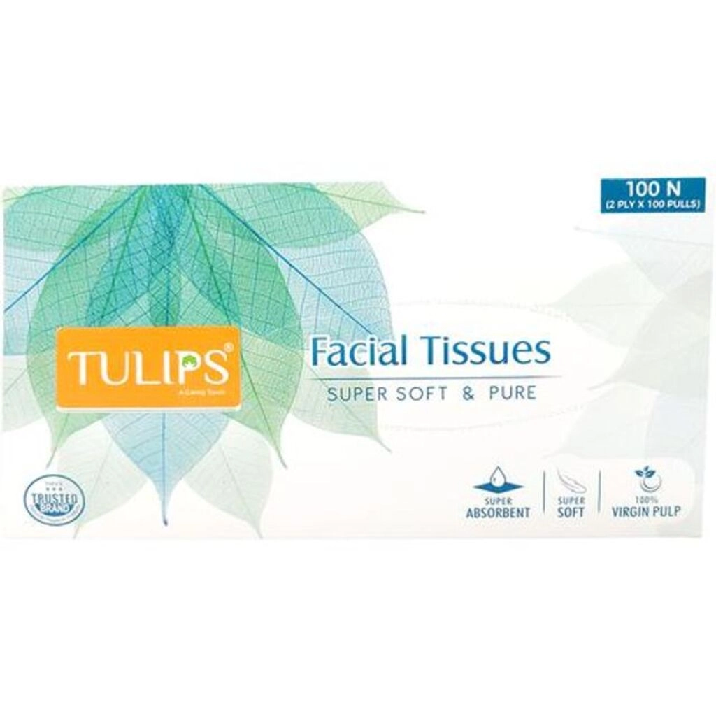 FACIAL TISSUE 100N