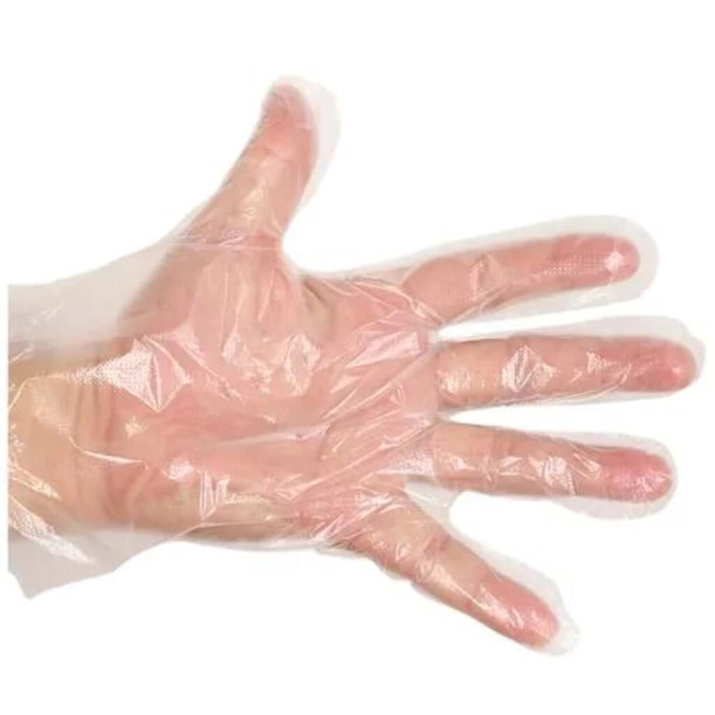 GLOVES PLASTIC 100PC