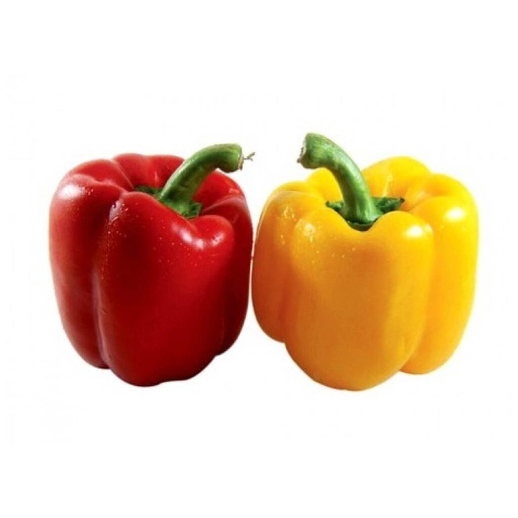 BELL PEPPER  (CAPSICUM) RED/YELLOW 450 - 525 g