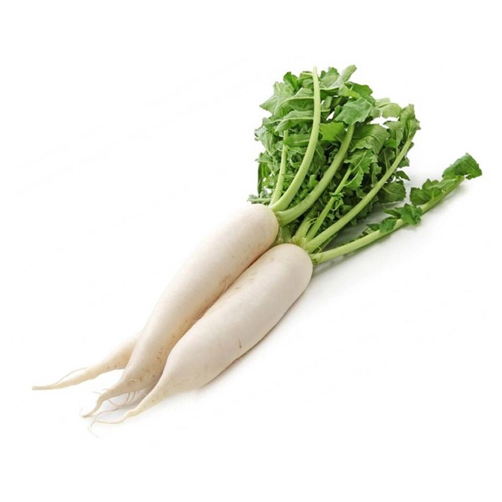 MOOLI (RADDISH) 2 PC 500 - 600 g