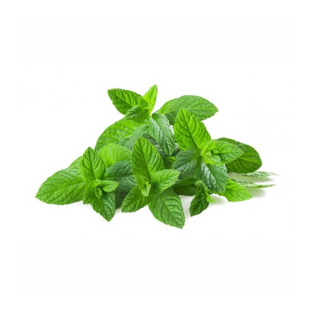 MINT (PUDINA) 100 g