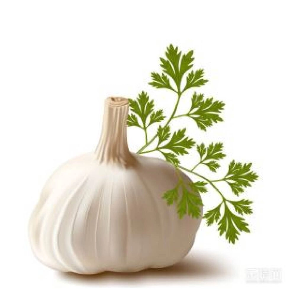 LEHSUN (GARLIC) HYBRID 100g