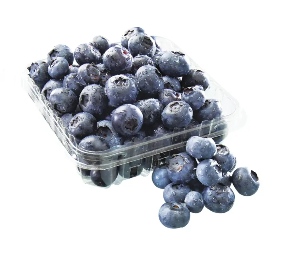 BLUEBERRY JUMBO (IMP) PKT 190 - 200 g