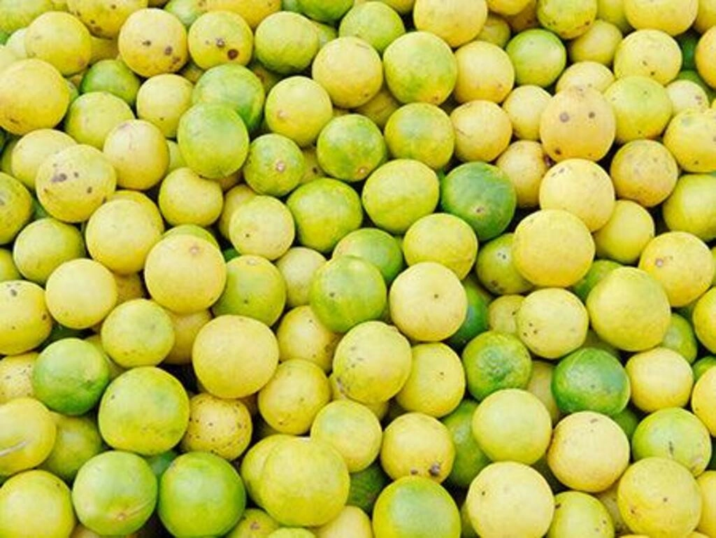 NIMBU (LEMON) 4 PC 150 - 175 g