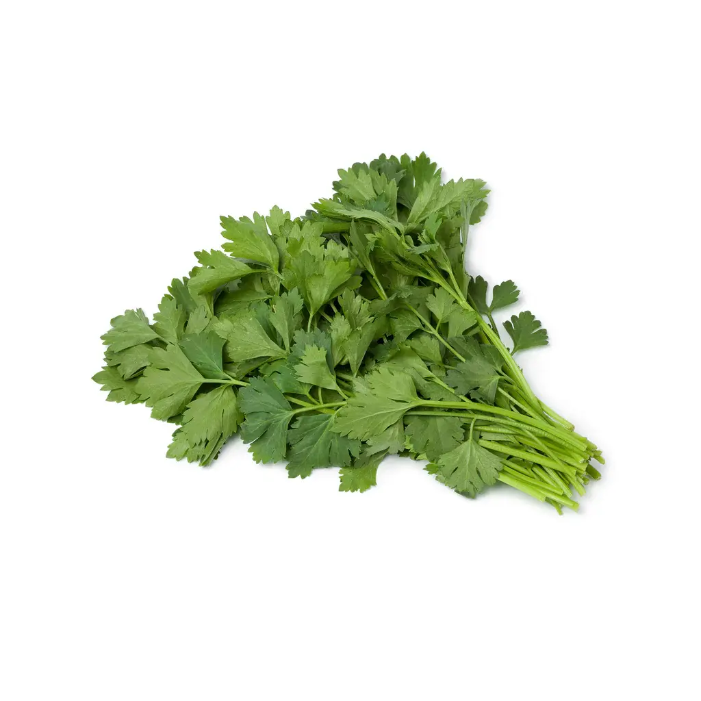 CELERY (LEAVES) 150 - 200 g