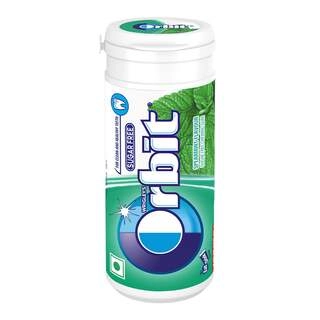 SPEARMINT CHEWING GUM
