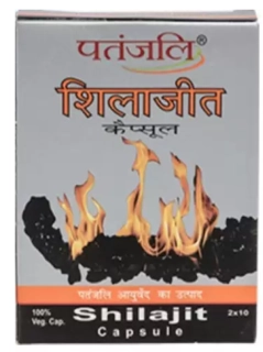 Shilajit Capsule 2*10