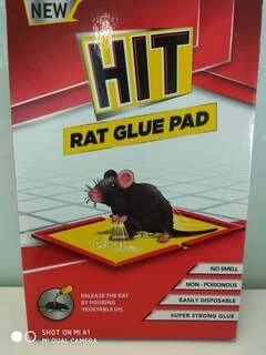 Rat Glue Pad 60/-