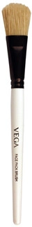MAKE UP BRUSH HV-27