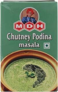 CHUTNEY PUDINA MASALA
