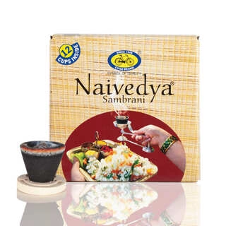 Naivedya Sambrani 8Pic