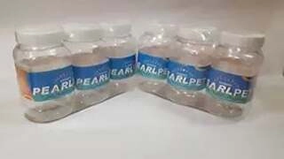 PP JAR 500 . 3*1