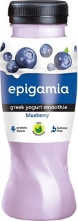 Greek Yogurt Blueberry Smoothie