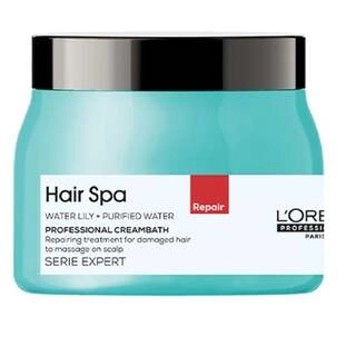 Loreal Hair Spa Repair 490Gm