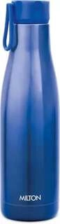 Bottle Thermo Steel 600 Fame